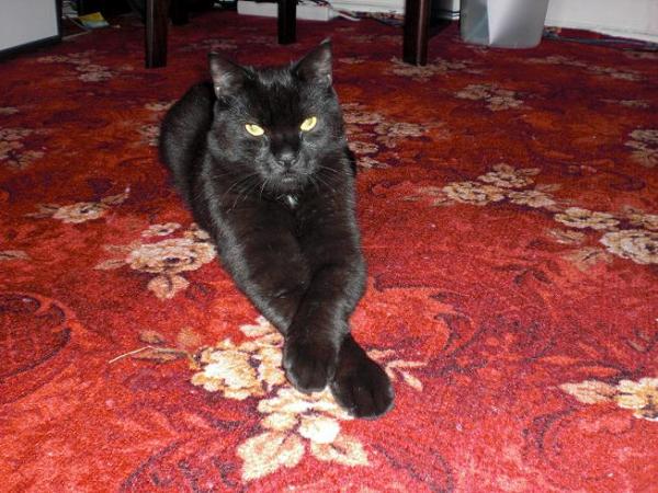 der Dicke mal ganz vornehm *g*