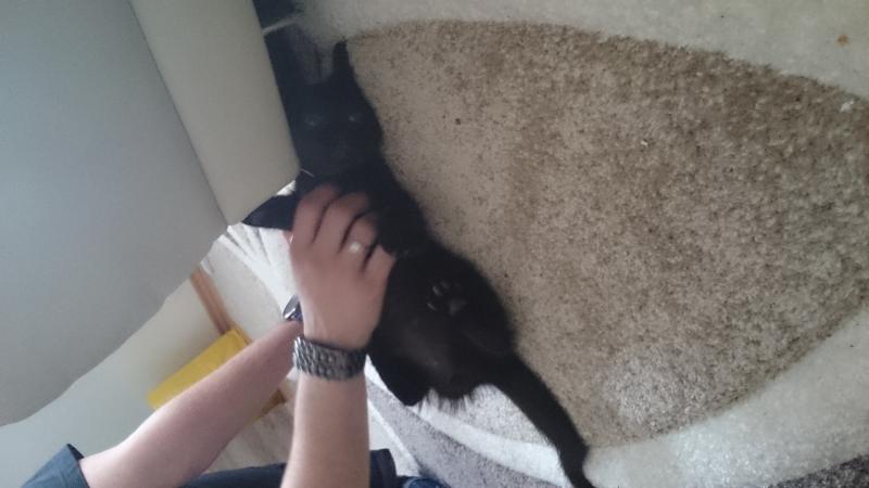 Der erste Moment mit Budy:-)