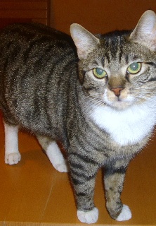 der erste tag an dem sie wieder da war!