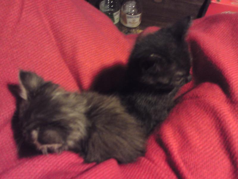 Der erste Tag in der neuen Heimat