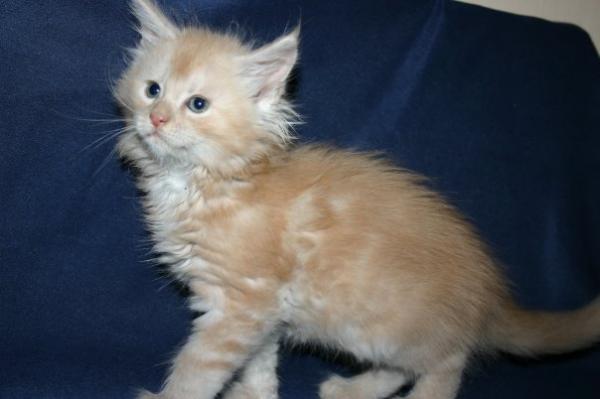 Der King noch als kleiner Prinz ;)