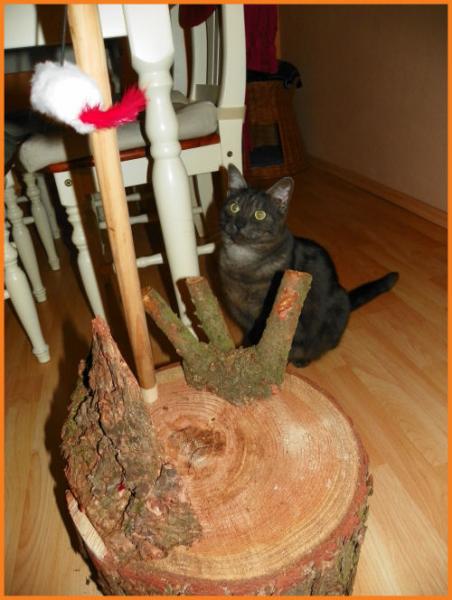 Der neue Kratz-Klotz!