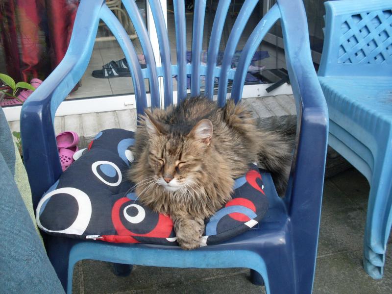 Der Sonnenanbeter, Winter fand unser Norweger immer doof...