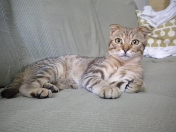 der stolze Papa, gerade mal 8 oder 9 mon. alt.....