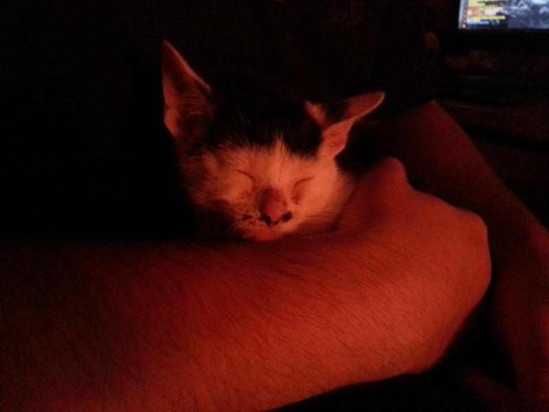 deswegen mussten wir dich einfach haben :-))
Wir lieben dich :-*