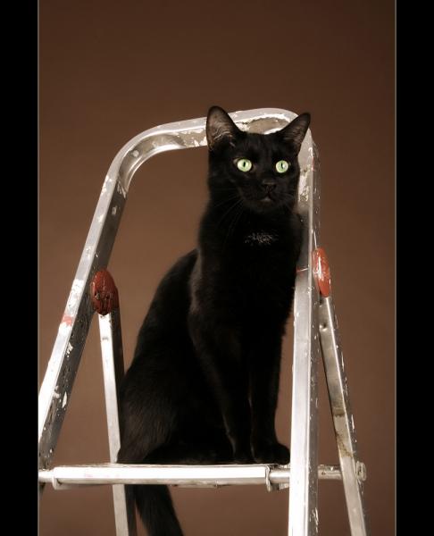 Devil ist unser Angsthase.