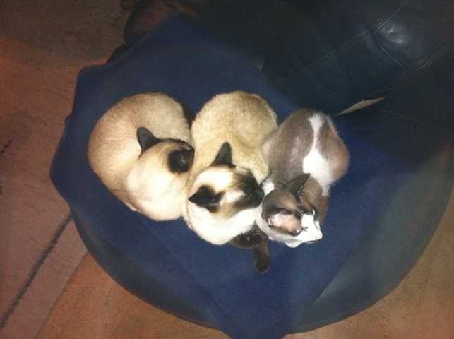 Die 3 von der Tankstelle ;)