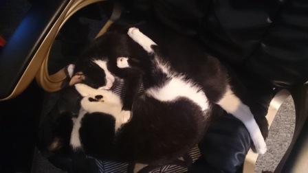 Die beiden haben sich echt lieb