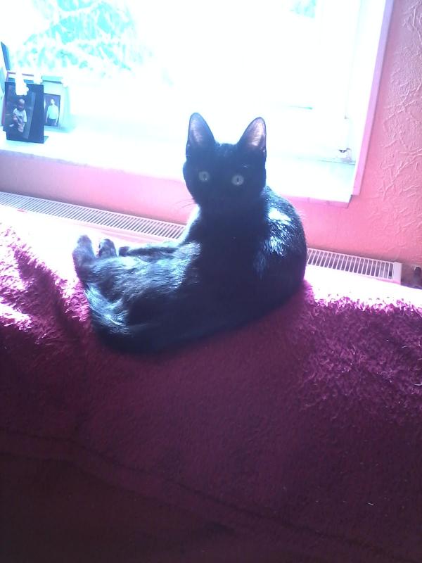 Die ersten Sonnenstrahlen geniessen :)