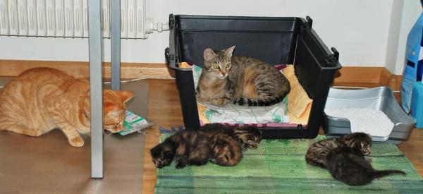 die ganze Family bei der Box