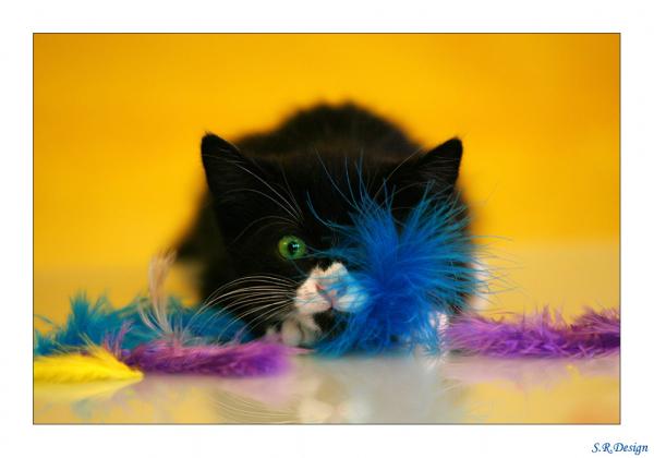 Die kleine Barbie...