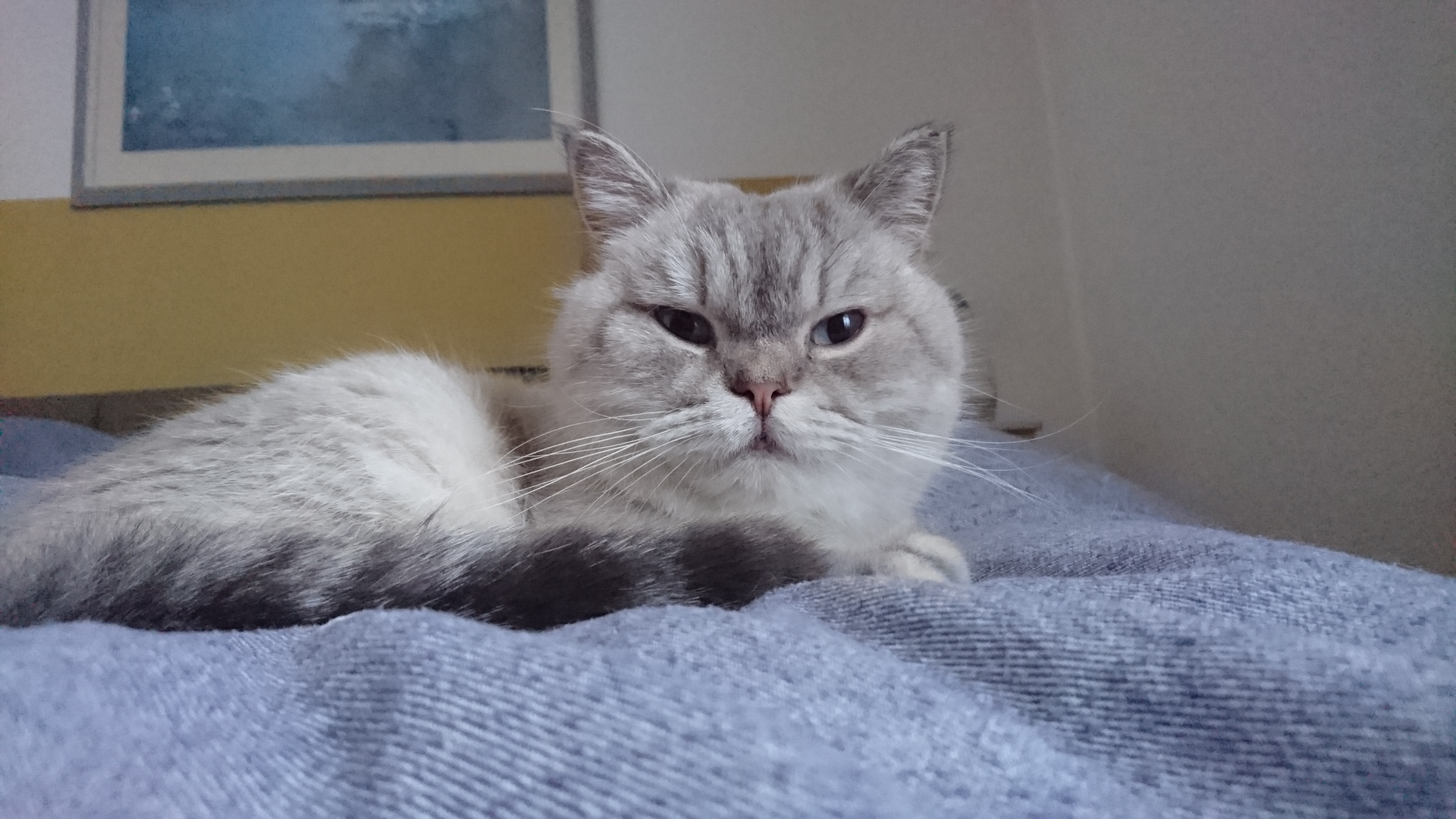 Die kleine Russin Mascha