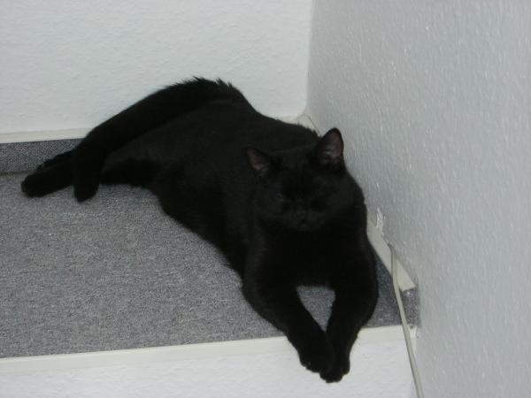 die Mia.. is schon groß geworden! :)