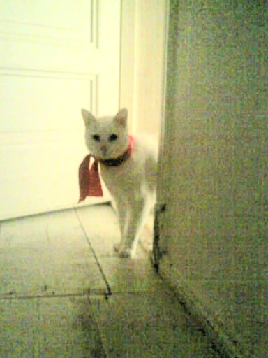 Die rote Schleife ist zwar medizinisch, kleidet aber ungemein.