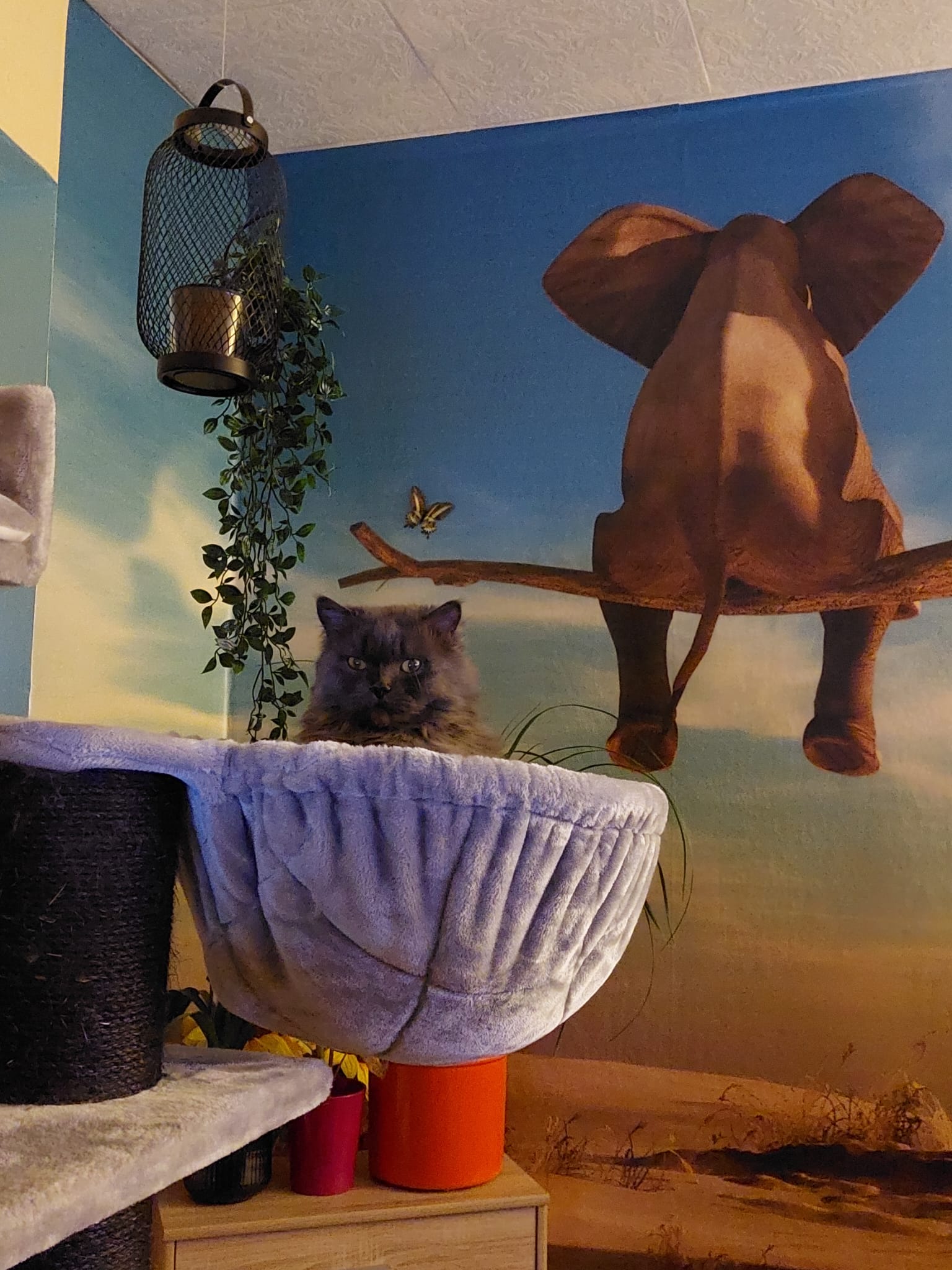 Diego März 2023.jpg