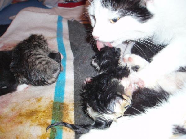 Diesen Abend werde ich nie vergessen! :-)