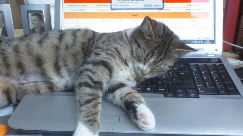 dieser laptop gehört mir !