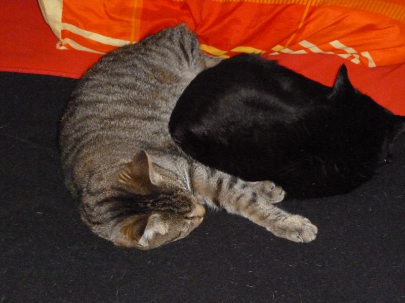 DJ mit seinem Bruder Moppel