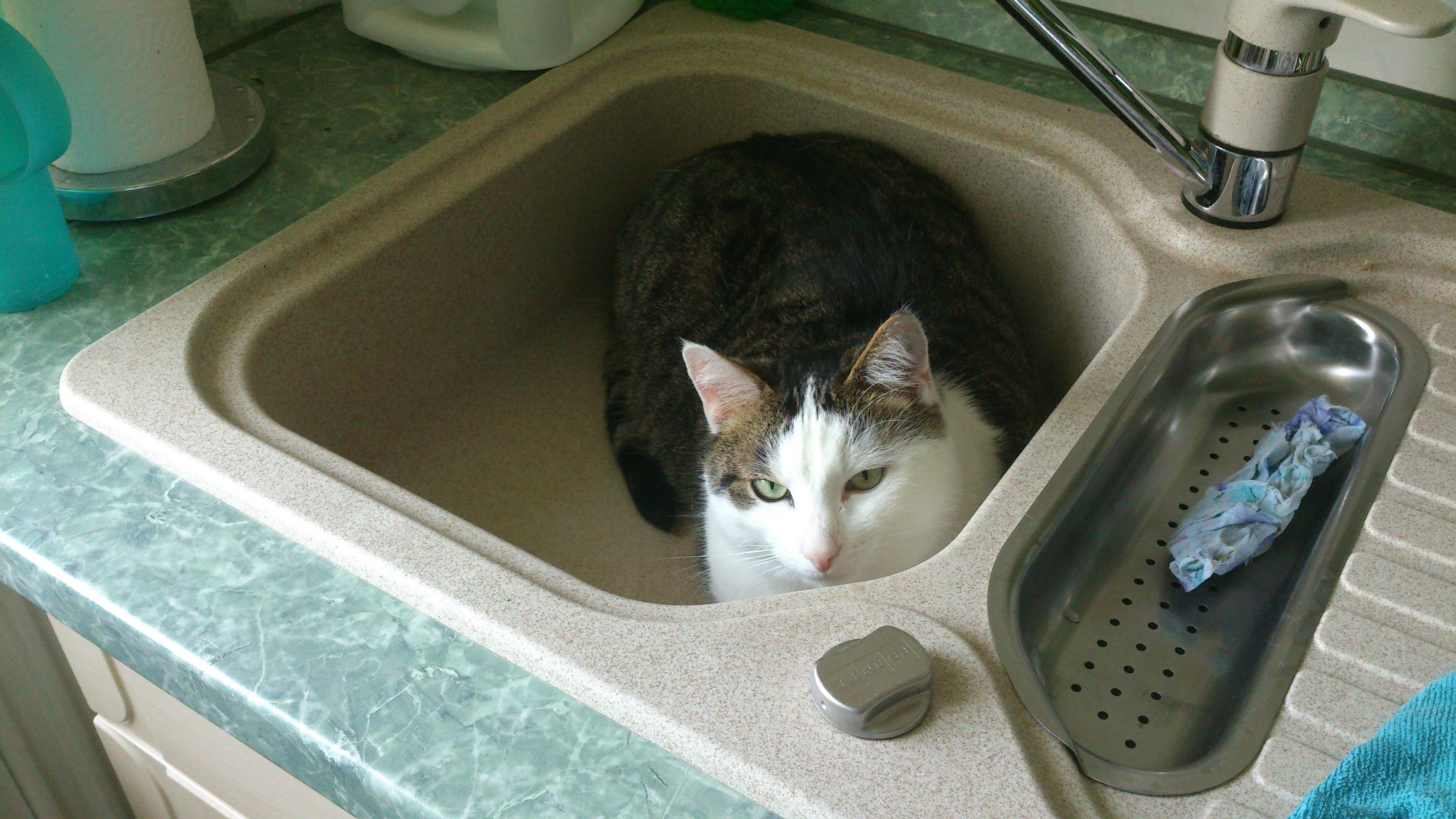 dosi lässt mich nicht wasser panschen