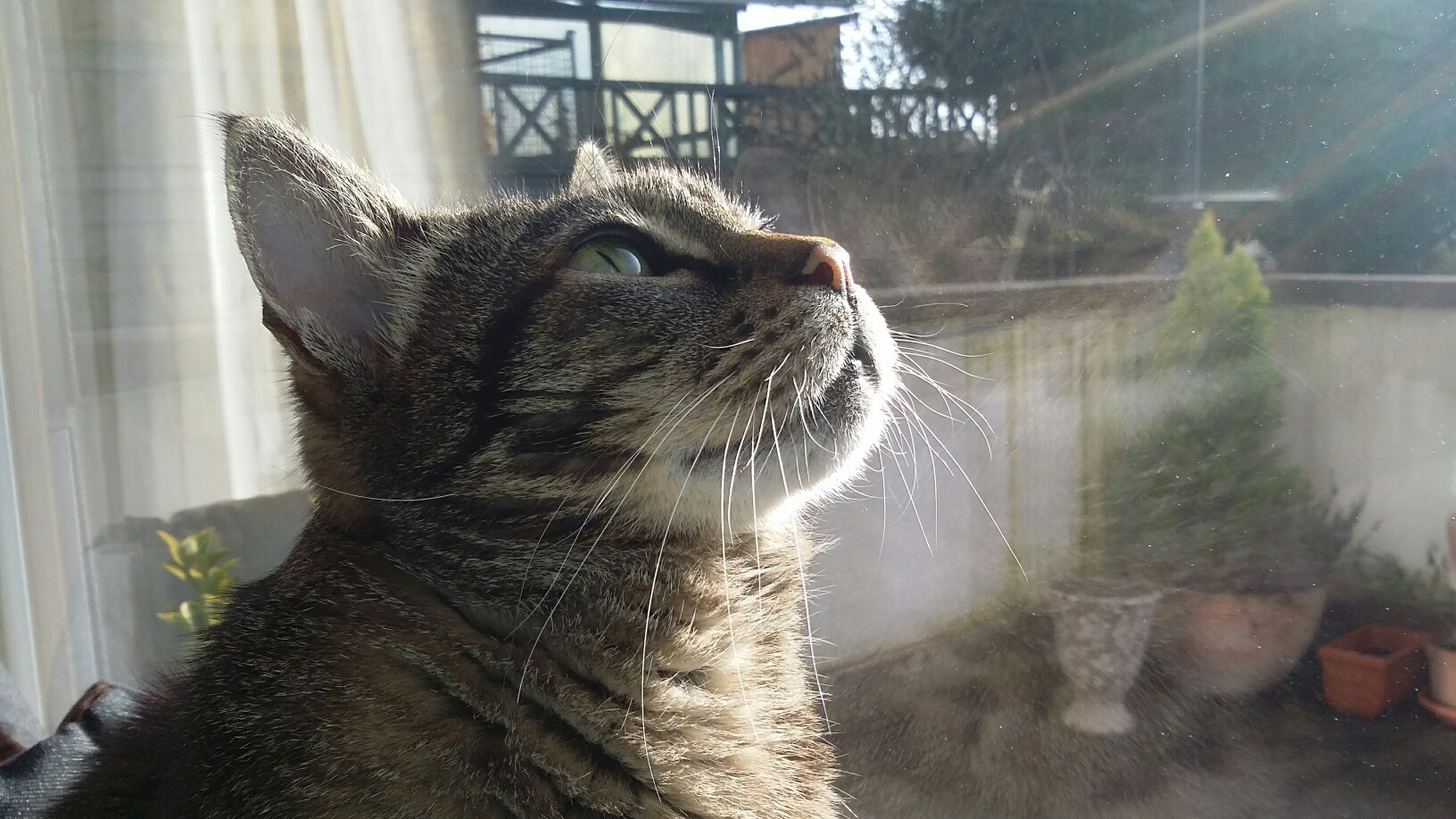 Dreh mal da oben den Hebel um, damit ich raus kann