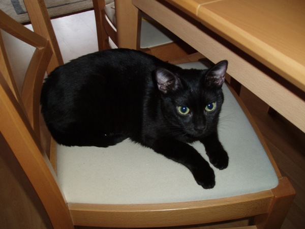 Dreizehn's Lieblingsplatz II