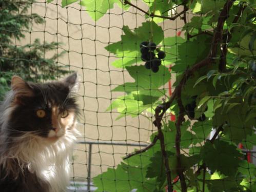 DSC00568 bearbeitet 1