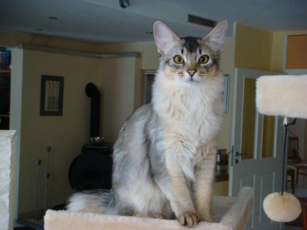 DSC07598 [800x600]
Watson als Halbstarker