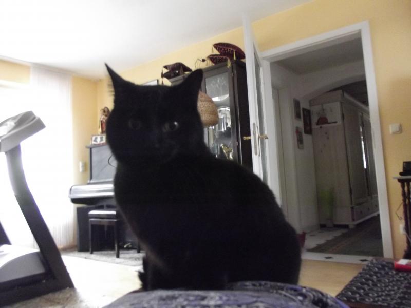 DSCF8983

bei meiner Familie eingezofen: 01.12.2013