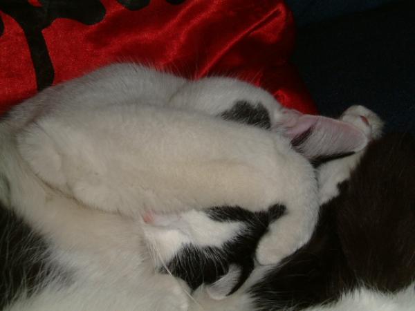 du siehst mich nicht