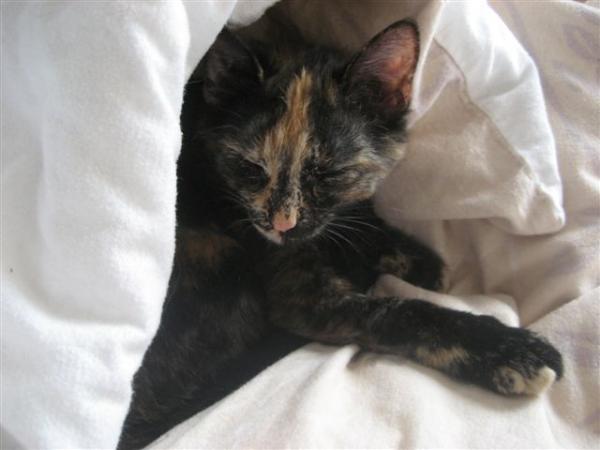 Du warst meine kleine Höhlenmaus- tief unter der Bettdecke vergraben - das war dein Lieblingsplatz.