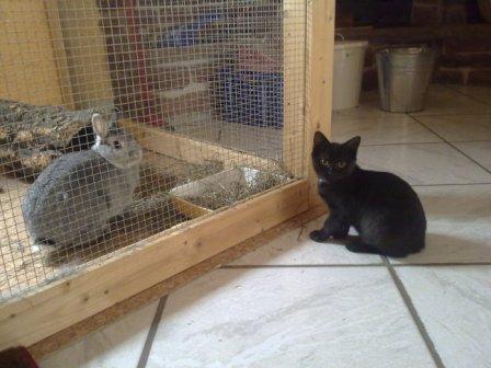 Duuuu, Dosiiiii, die Mieze hinter dem Gitter sieht aber komisch aus... Darf ich die mal von nahem sehen? ;)