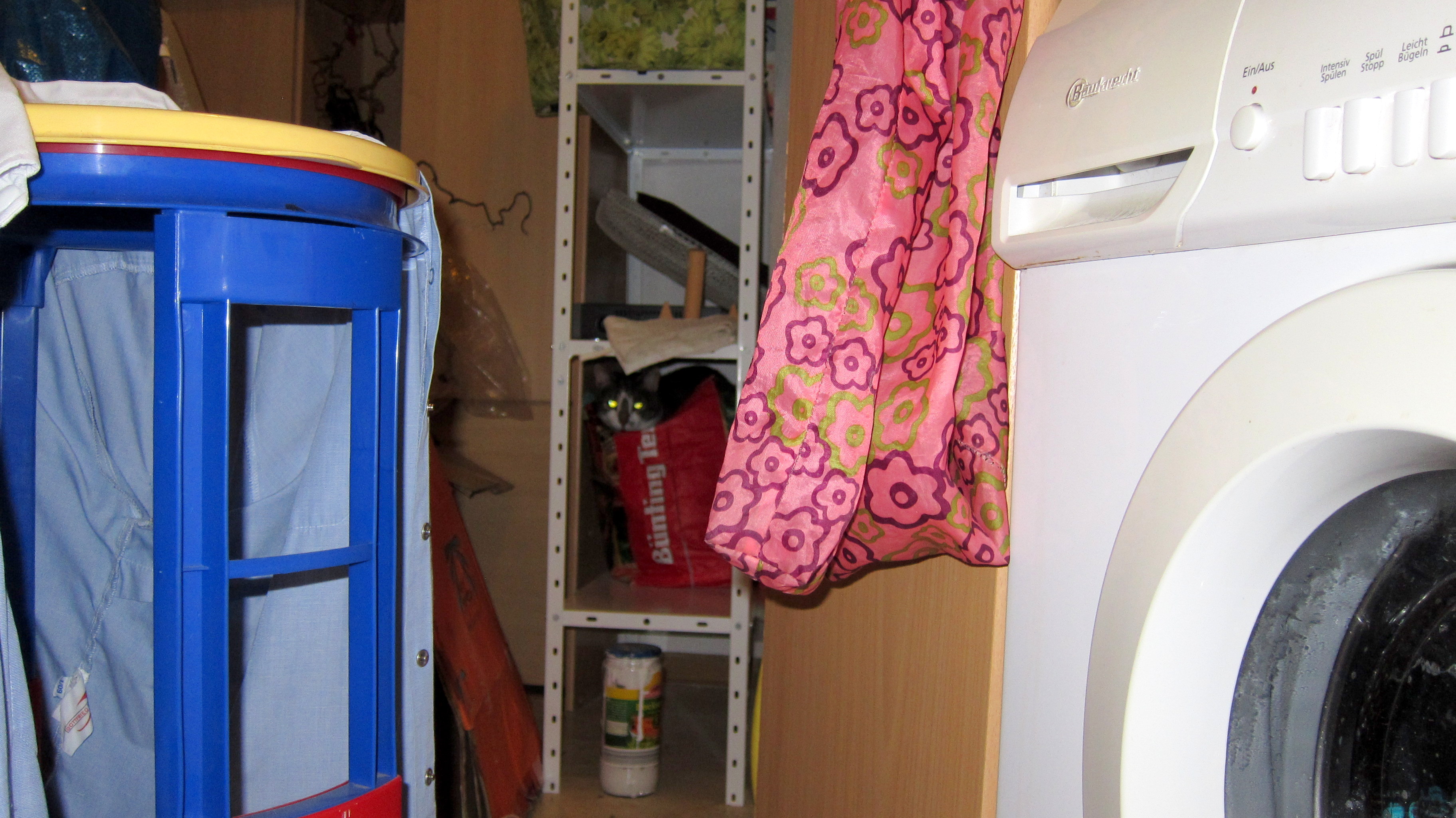 Ebby versteckt sich vor dem Staubsauger.