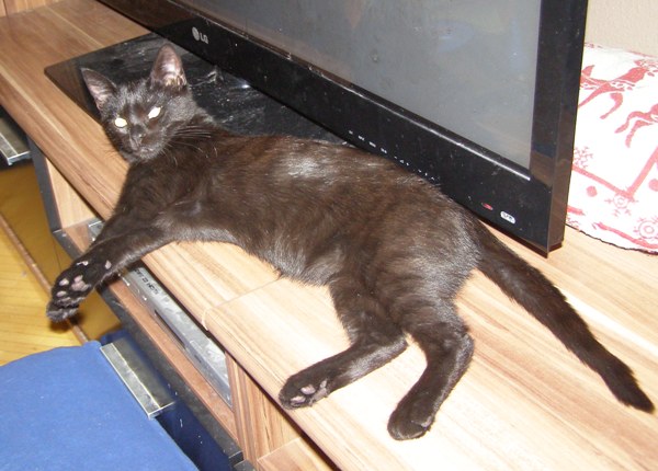 ein älteres Bild von Kobolt Ranger