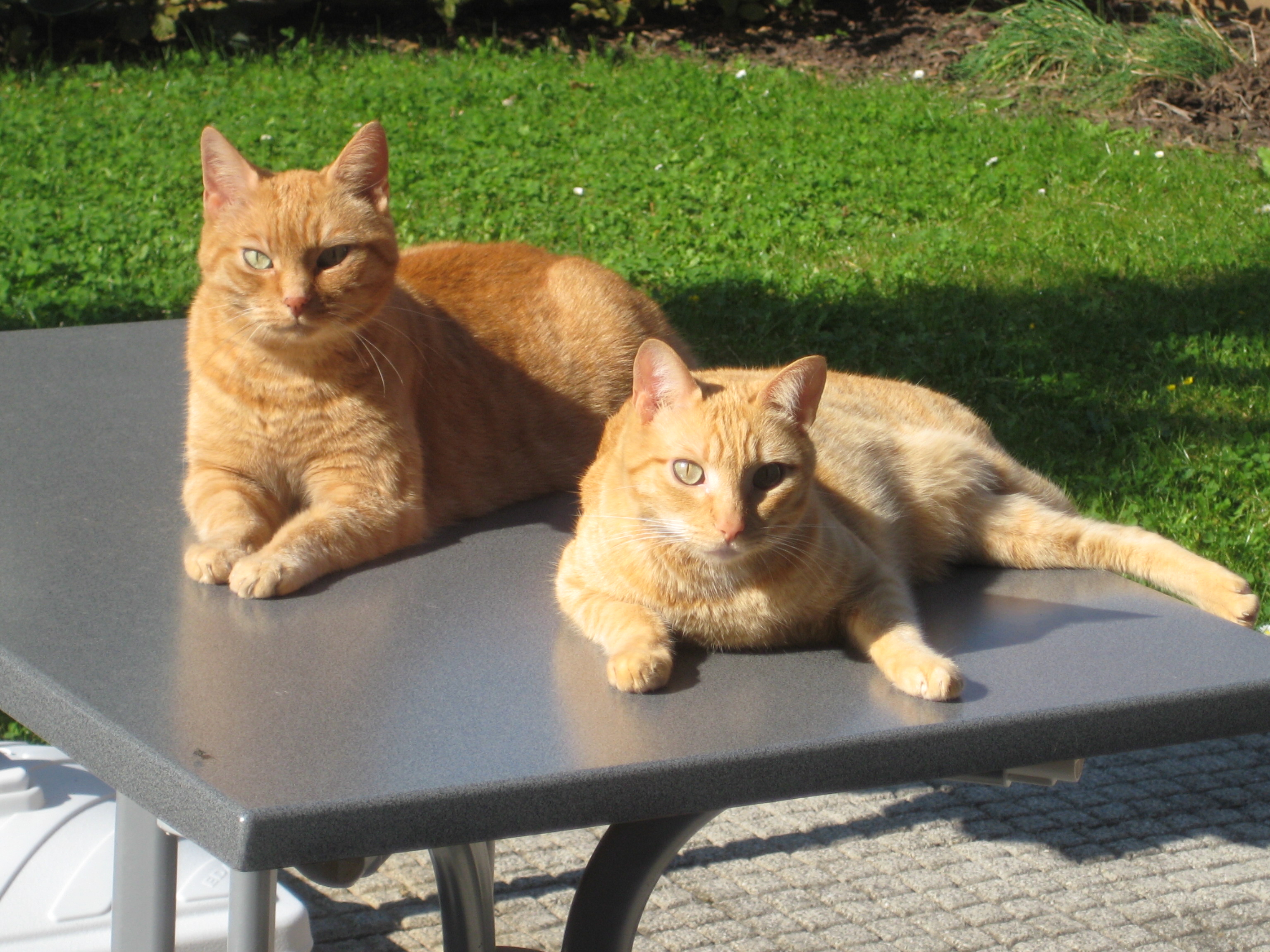 Ein Bild aus guten Zeiten