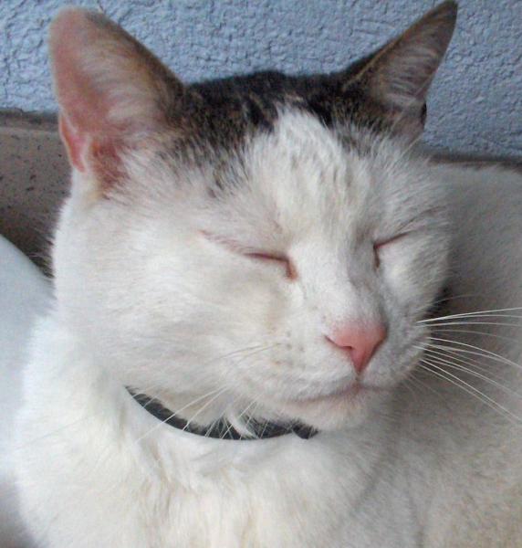 ein schäferstündchen