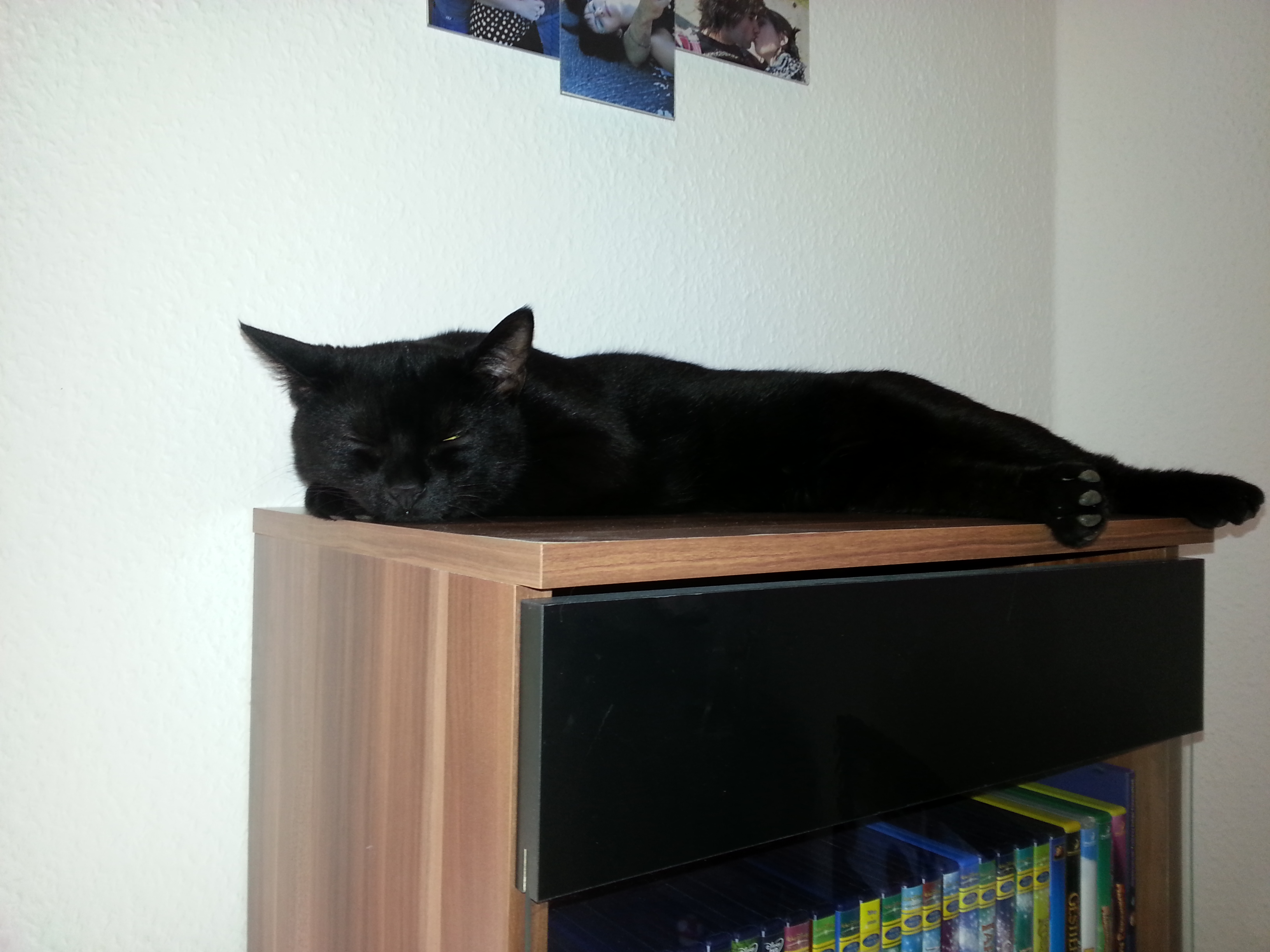 Ein seltsamer Platz zum Schlafen...