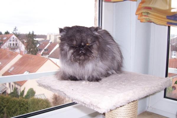 Eine Stunde vor seiner letzten Reise