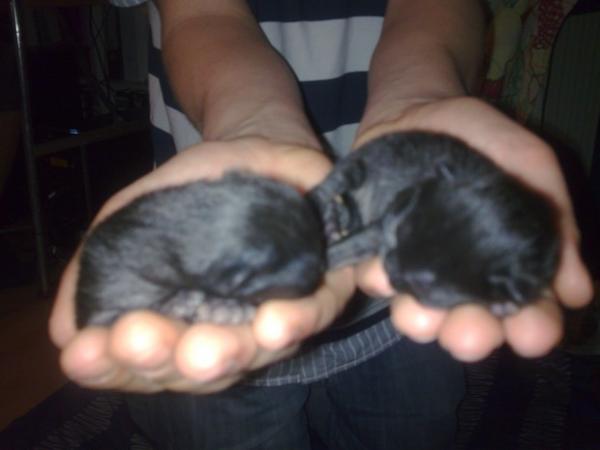 eine woche und zwei tage alt 124g