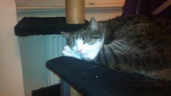 einer meiner liblings hobbys