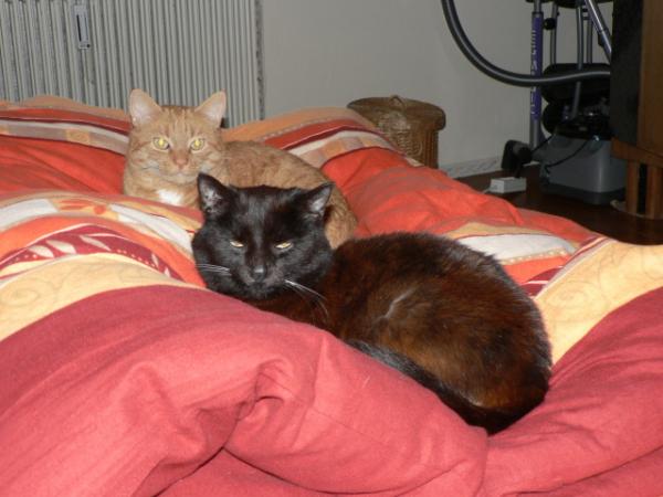 Eines der letzten Bilder meiner Süssen