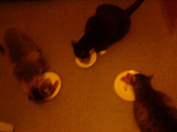 Eines der seltenen friedlichen Momente :)