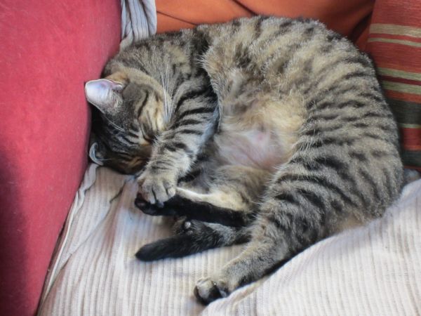 eines von so vielen schlaffotos :)