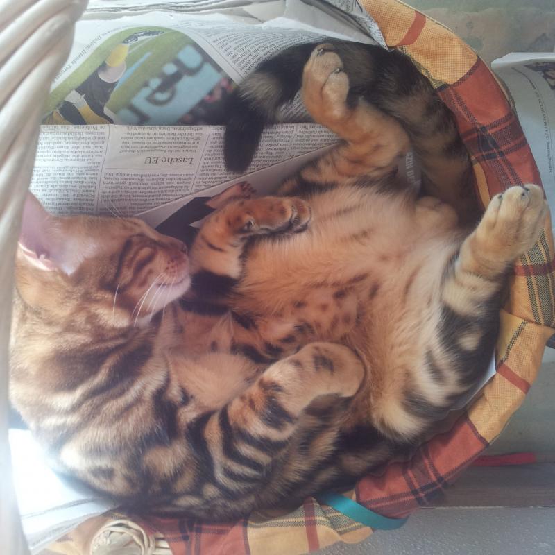 einfach nur "abhängen"