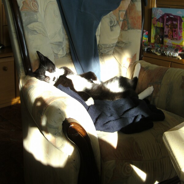 einfach nur zum knuddeln!