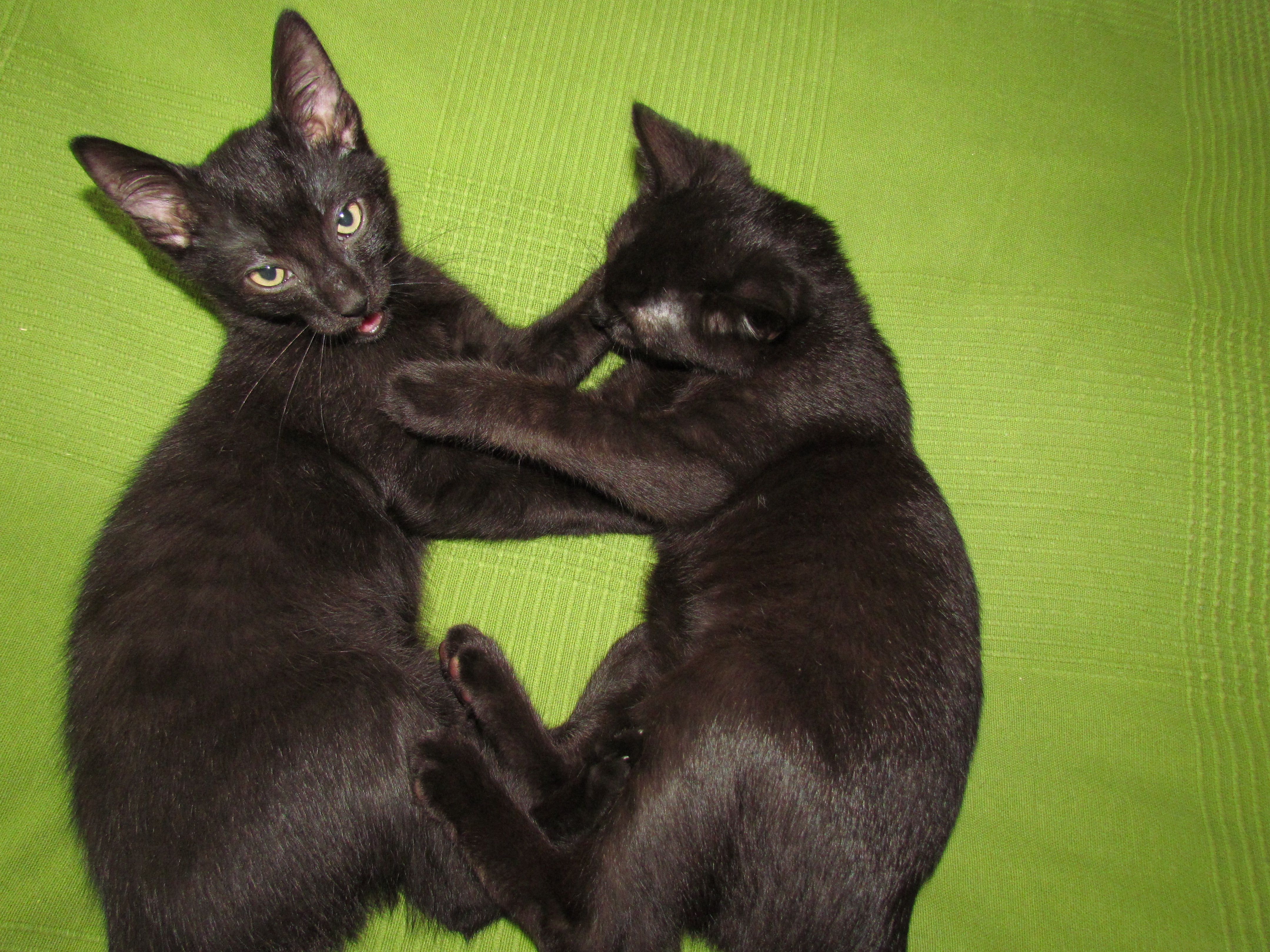 ej, dieser Kampf ist PRIVAT!