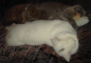 Elton und Elli haben sich warscheinlich sehr gern.