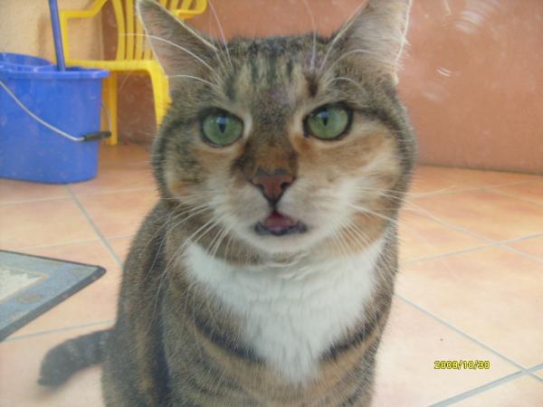 Emily will wieder rein...