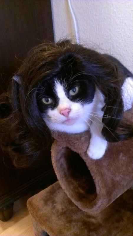 Emma geht zum Fasching