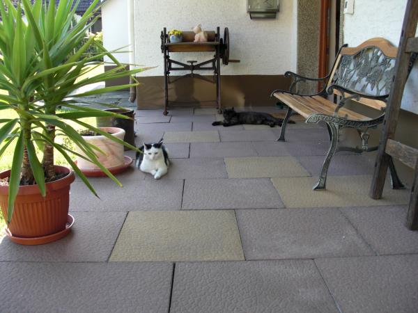 Endlich Frühling!!
Aber wir bewachen den Hauseingang gut!