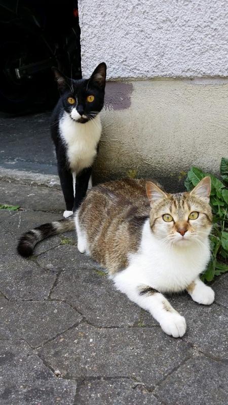 Endlich mal beide zusammen auf einen Foto!